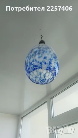 Полилей, снимка 6 - Полилеи - 51248814