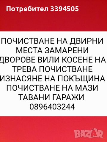 Почистване на дворни места почистване на мазета тавани замръзване против гълъби, снимка 1 - Други услуги - 46773355