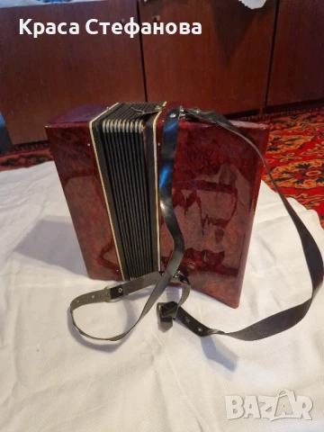 Работещ акордеон , снимка 2 - Акордеони - 51135481