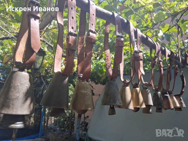 Звънци; Чан; Чанове