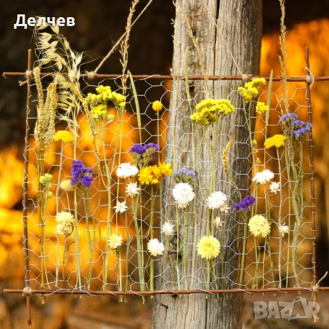 Пана и букети от сухи цветя, снимка 2 - Декорация за дома - 51338916