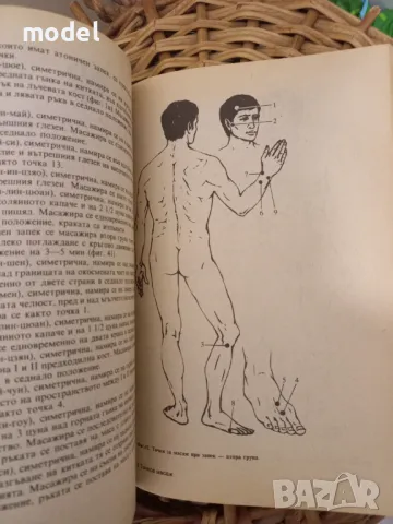Точков масаж - В. С. Ибрахимова  , снимка 3 - Специализирана литература - 49484502