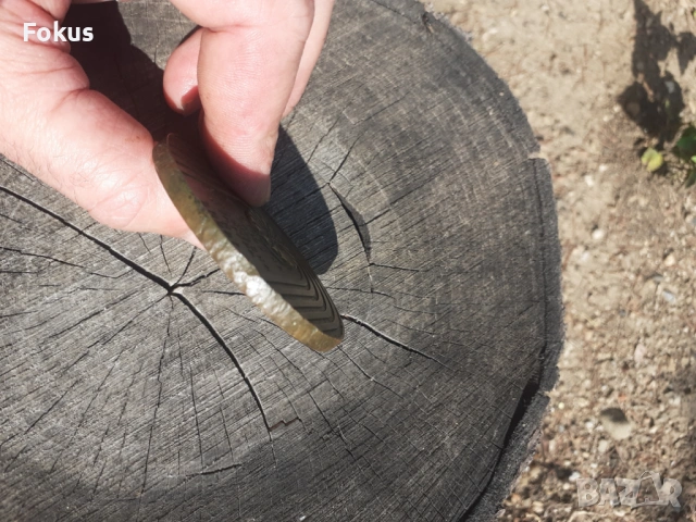 Настолен медал плакет БСФС, снимка 3 - Антикварни и старинни предмети - 53294844