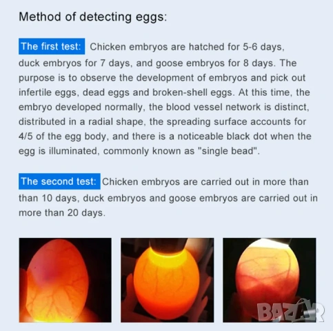 LED Лампа Тестер за Яйца Детектор Светлинен Овоскоп за Инкубатор на Пилета Фенерче за Излюпване Тест, снимка 11 - Градинска техника - 53875426