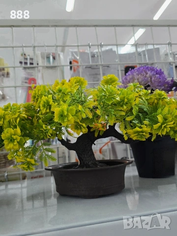 бонзай дръвчета декорация , снимка 5 - Декорация за дома - 47066976