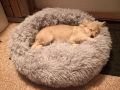 Ново пухкаво кръгло легло за куче / котка, снимка 3