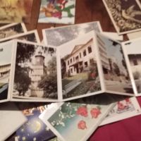 Картички от Свищов , снимка 2 - Колекции - 45546174