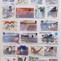 Малък класьор с марки птици 125 броя, снимка 3 - Филателия - 45456632