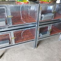Оборудвани клетки за зайци, снимка 5 - За селскостопански - 45375477