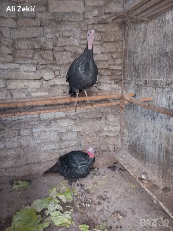 Продавам, снимка 1