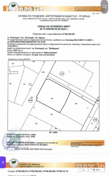 Дворно лясто в регулация до траф, снимка 1