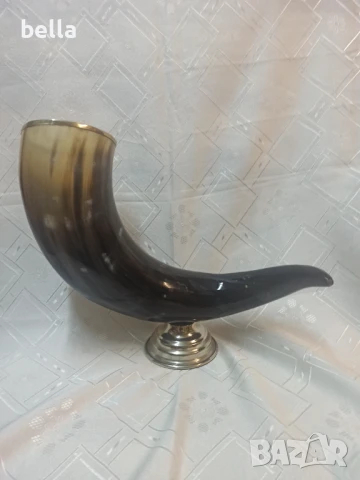 Огромен фирмен рог от Кейптаун - Eichholtz монтиран върху никелирана основа -височина 28 см дължина 