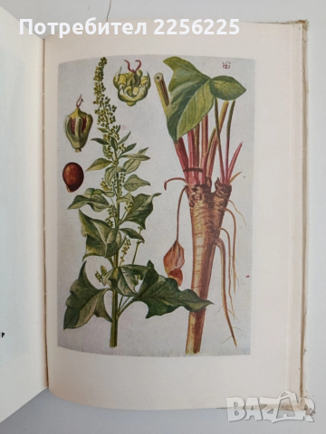 Лекарствени култури, снимка 9 - Специализирана литература - 52279282