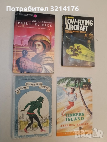 L'homme au chaperon vert - Suzy Arnaud-Valence 