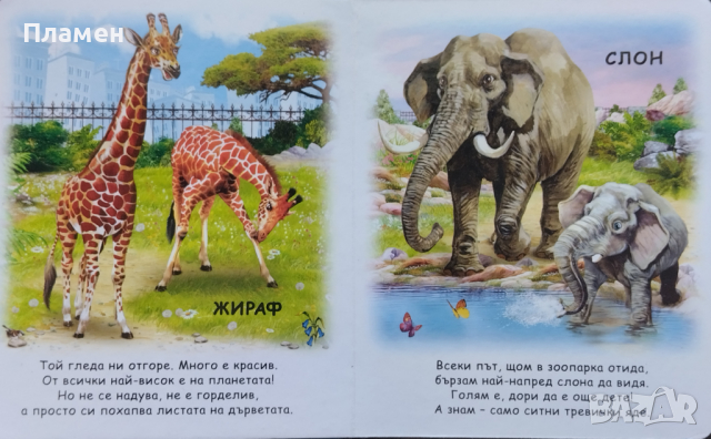 Животните в зоопарка Миглена Златарева, снимка 2 - Детски книжки - 44939890