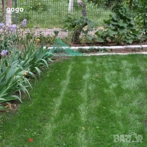 подложка с тревни семена 