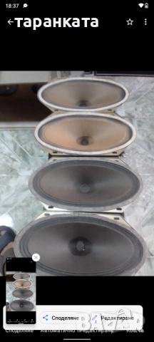 широко лентови говорители DUAL, снимка 2 - Тонколони - 52187700