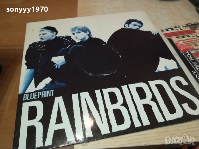 RAINBIRDS-MADE IN WEST GERMANY 2808251724, снимка 5 - Грамофонни плочи - 51525419