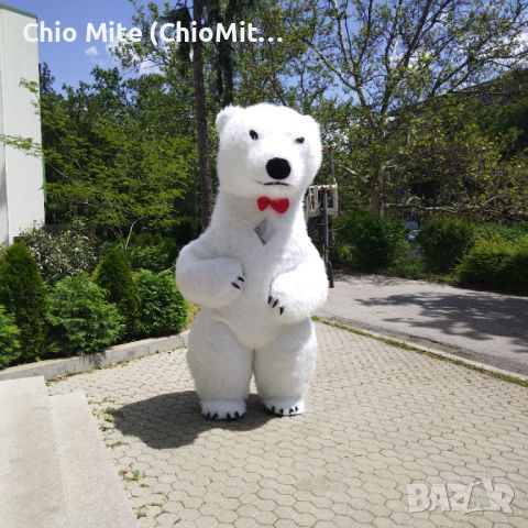 Изненада с гигантска бяла мечка, снимка 2 - Други - 45824619