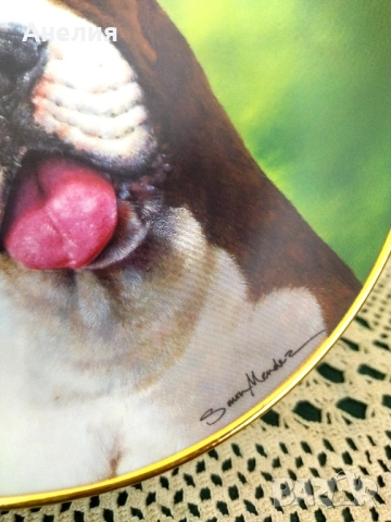 Колекционерски чинии Боксер, снимка 9 - Декорация за дома - 51883321