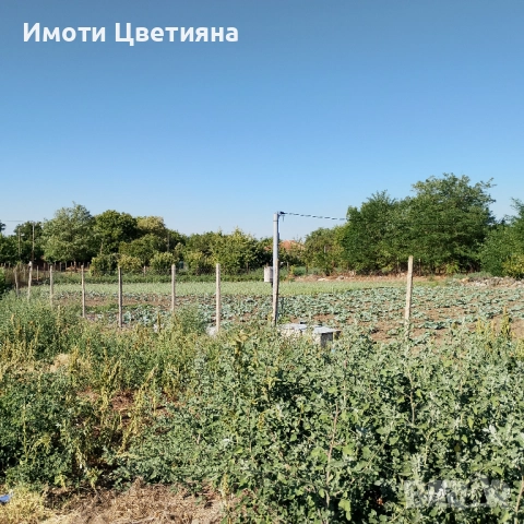 Просторен парцел в сърцето на с. Стоил Войвода, снимка 2 - Парцели - 51993882