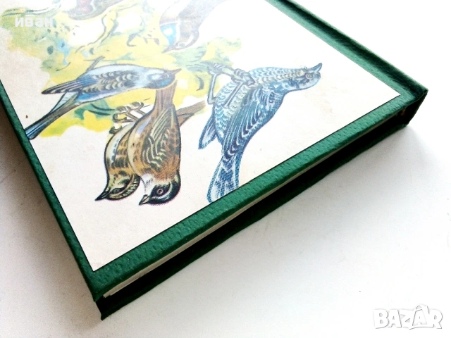 Пойни и декоративни птици - Н.Ф.Кузмин,А.И.Рибанин - 1976г., снимка 8 - Енциклопедии, справочници - 53619593