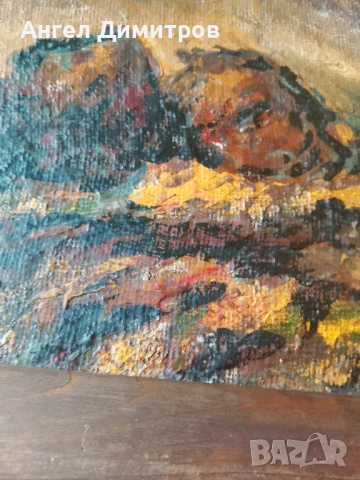 Стара маслена картина платно , снимка 4 - Картини - 51177044