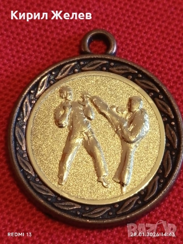 Спортен медал бойни изкуства КАРАТЕ за КОЛЕКЦИЯ ДЕКОРАЦИЯ 53513, снимка 3 - Антикварни и старинни предмети - 53258120