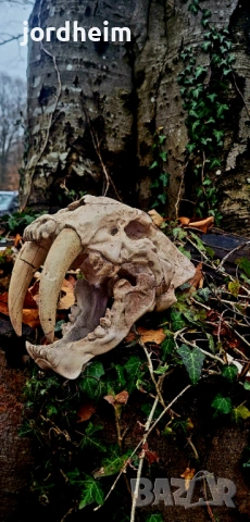 3D фентъзи черепи. 3D Fantasy realistic skulls dark fantasy, снимка 7 - Декорация за дома - 53940500