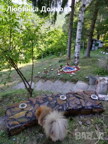 Продава се Бунгало! , снимка 11 - Вили - 53645102