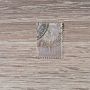 Малък лъв 1889 г. 1 стотинка, снимка 1 - Филателия - 45540094