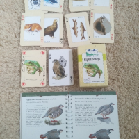 Карти за игра и книжка за диви птици , снимка 1 - Детски книжки - 44988704