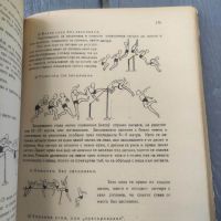 Продавам книга " Ръководство по физкултура" от 1948 , снимка 10 - Специализирана литература - 45902385