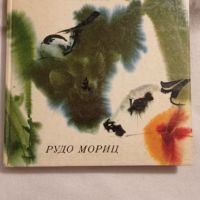 Рудо Мориц: Приказки от гората , снимка 1 - Детски книжки - 46207258
