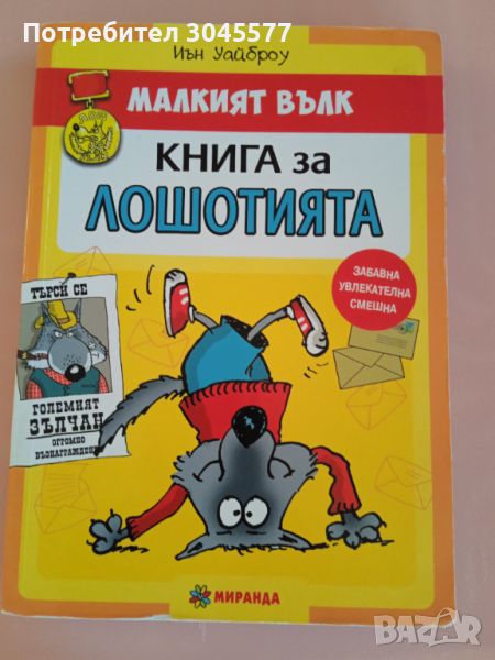 Книга за лошотията, Малкият вълк, снимка 1