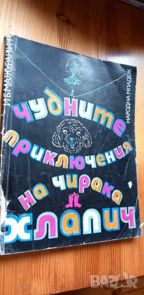 Чудните приключения на чирака Хлапич - Ивана Бърлич-Мажуранич, снимка 1