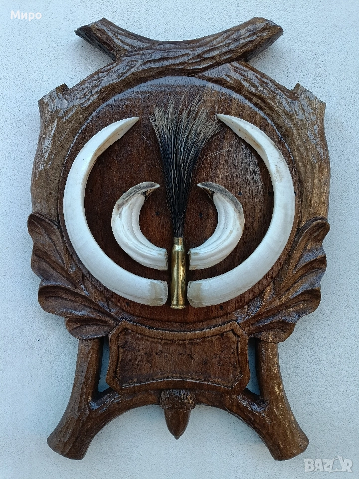 Зъби от диво прасе.Трофей.Глиги., снимка 1