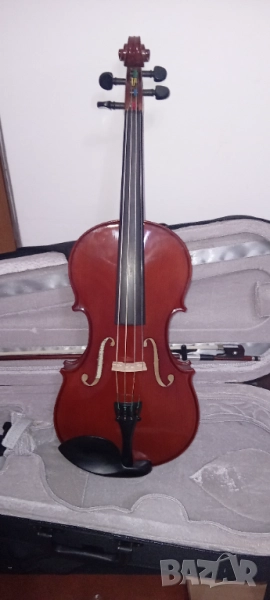 Виола немска, снимка 1