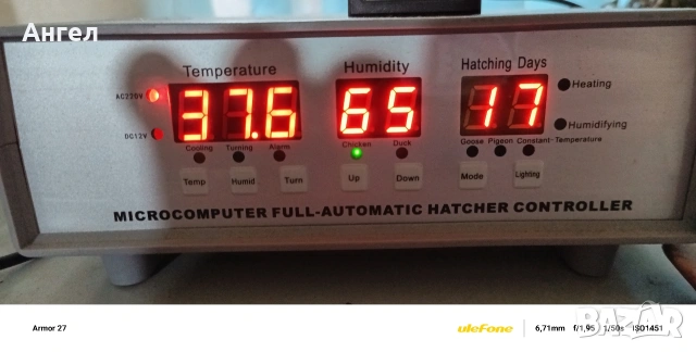 Инкубатор Техно МС 300, снимка 3 - За птици - 53572274