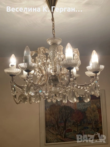 Полилей, снимка 2 - Полилеи - 53763617