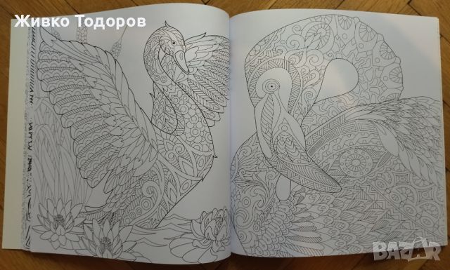 Книги за Оцветяване (Fashion,Joyful, Fantasy, Colour Beauty 1-4), снимка 9 - Други - 45523575