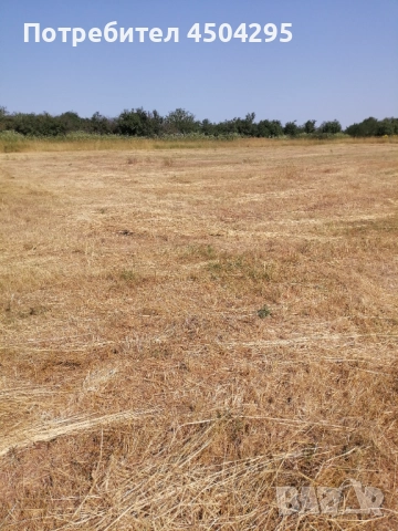 УПИ в землището на село Долно Церовене обл Монтана , снимка 4 - Парцели - 52488658