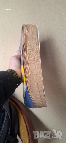 Повелителят на осите, снимка 3 - Художествена литература - 54143537