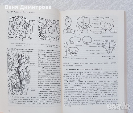 Ботаника Учебник по ботаника , снимка 2 - Учебници, учебни тетрадки - 49946355