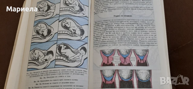 Желание за дете, снимка 3 - Специализирана литература - 51428800