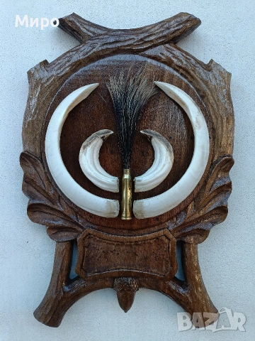 Зъби от диво прасе.Трофей.Глиги.