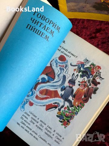 Русский язык в картинках , снимка 11 - Детски книжки - 46558756