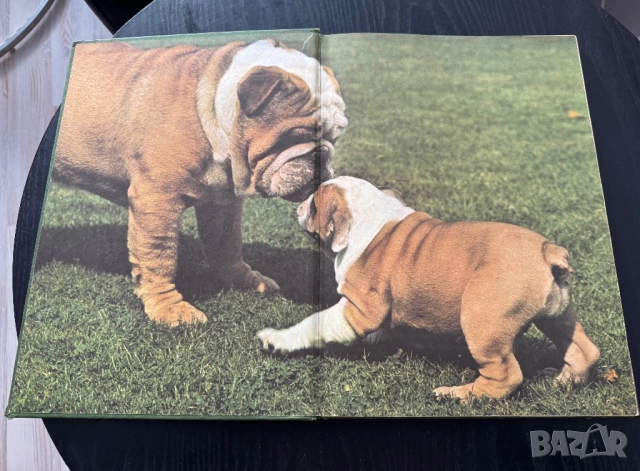 Кинология - книги и списания за кучето и котката, снимка 5 - Специализирана литература - 51950834