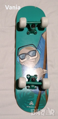 Skateboard