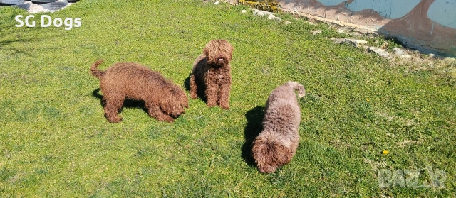 продавам лагото, снимка 4 - Други - 53779021